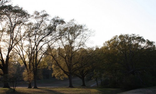 Chastain_Park,_Atlanta